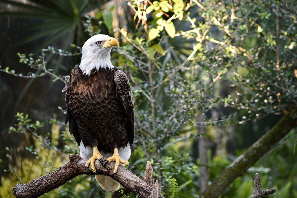 Zoo Tampa at Lowry Park